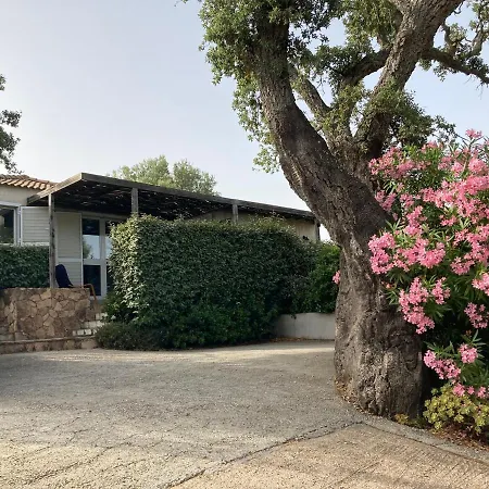 Maison à 5 Min à Pied Du Centre De Porto-vecchio *